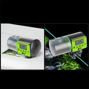 Transform Your Aquarium Care with the Large Capacity Automatic Fish Feeder
