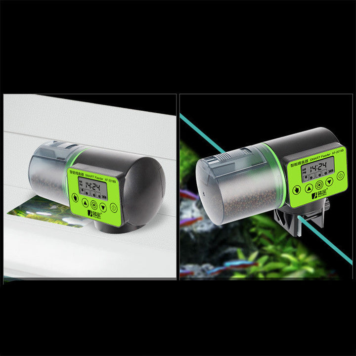 Transform Your Aquarium Care with the Large Capacity Automatic Fish Feeder