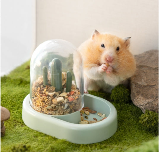 Home Hamster Creative Cactus Automatic Feeder: A Must-Have for Every Hamster Owner