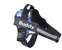 Elevate Your Pet's Style with Our Personalized Pet Harness