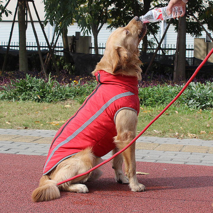 Reflective Pet Padded Warm Winter Jacket: A Must-Have for Your Furry Friend