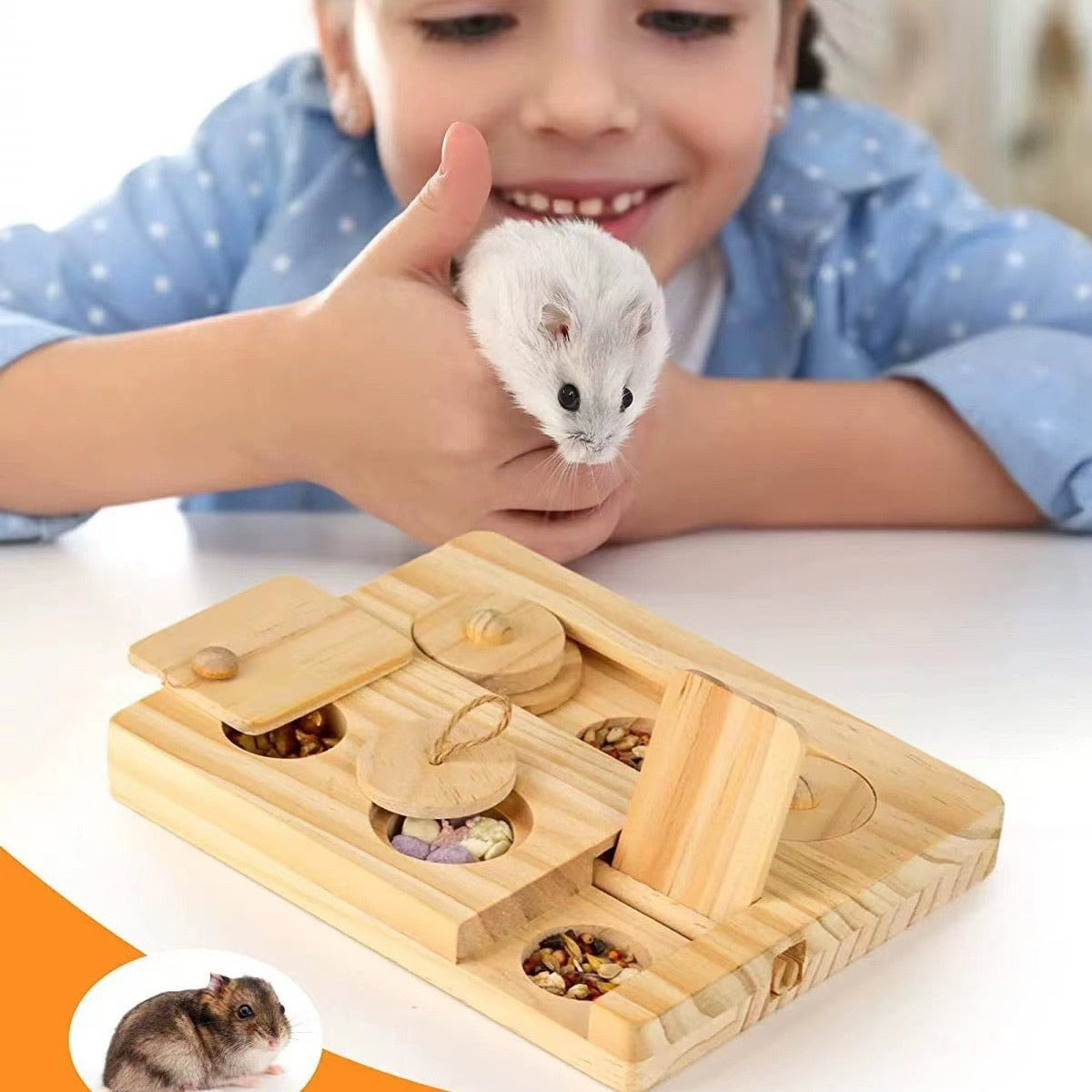 Why Every Hamster Needs Our Wooden Feeder