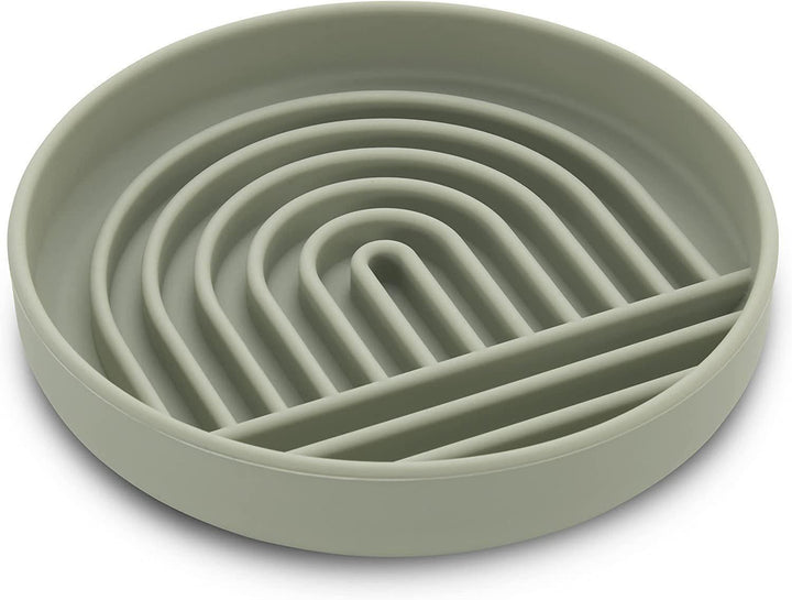Discover the Benefits of the Fashion Simple Pet Slow Feeding Bowl