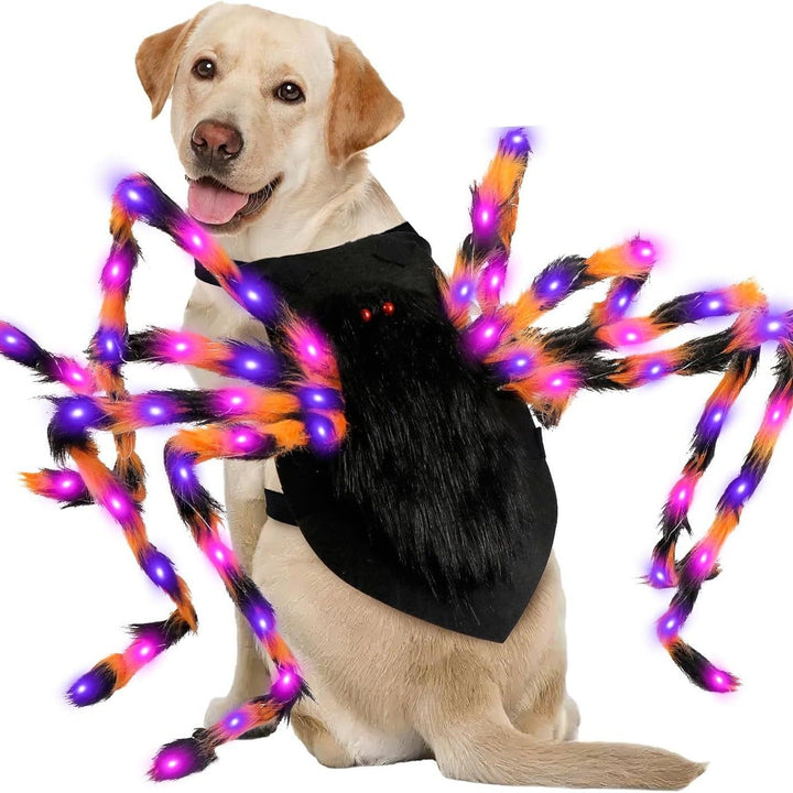 Get Spooky with the Halloween Luminescent Spider Pet Costume!
