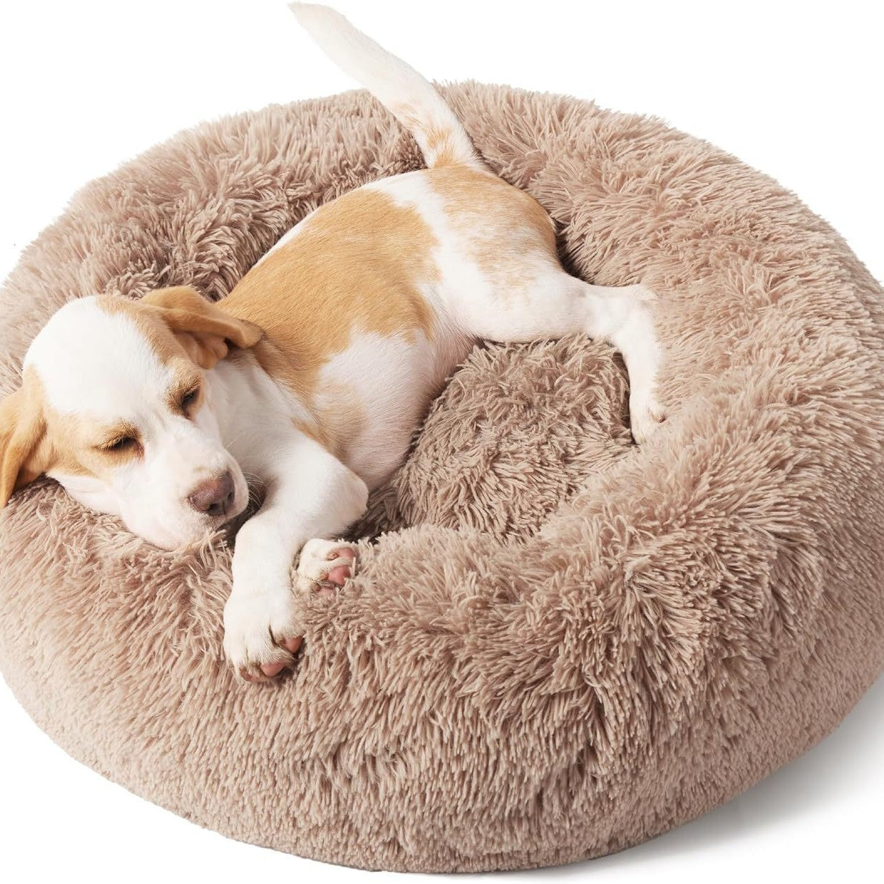 Transform Your Pet's Comfort with Our Plush Pet Bed