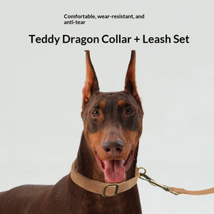 Retro Fashion Pet Leash And Collar Set: Elevate Your Pet's Style