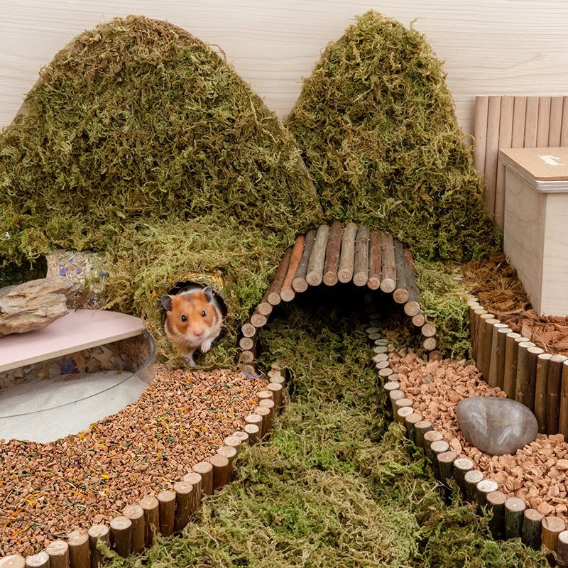 Oak Cork Pet Bedding Dust Free Digging Cage Landscaping Supplies