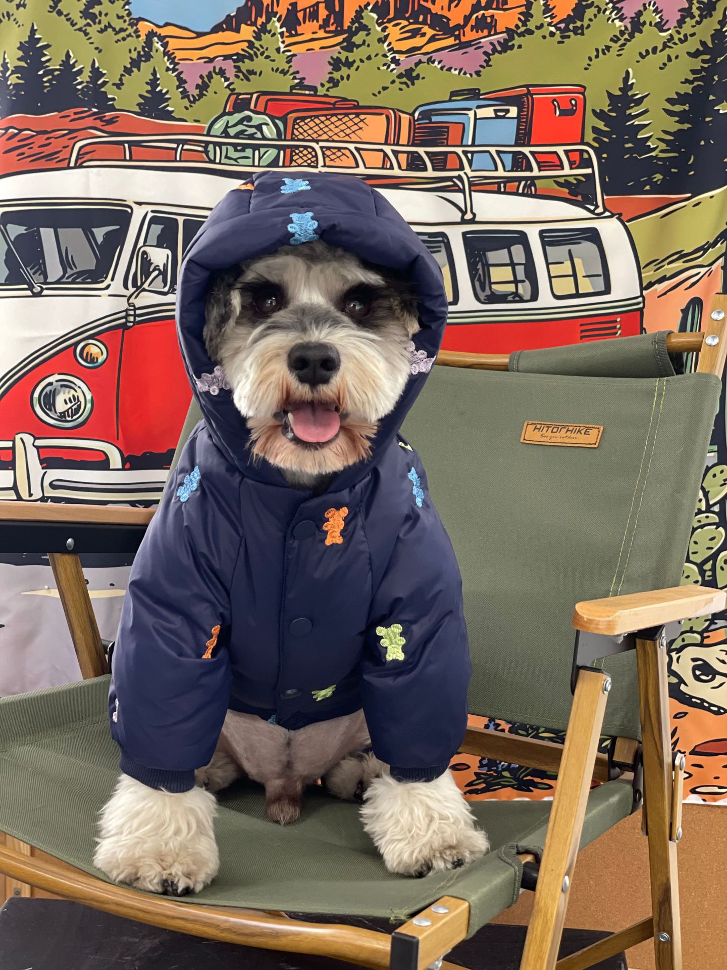 Warm Hooded Pet Down Jacket Four Feet Clothing