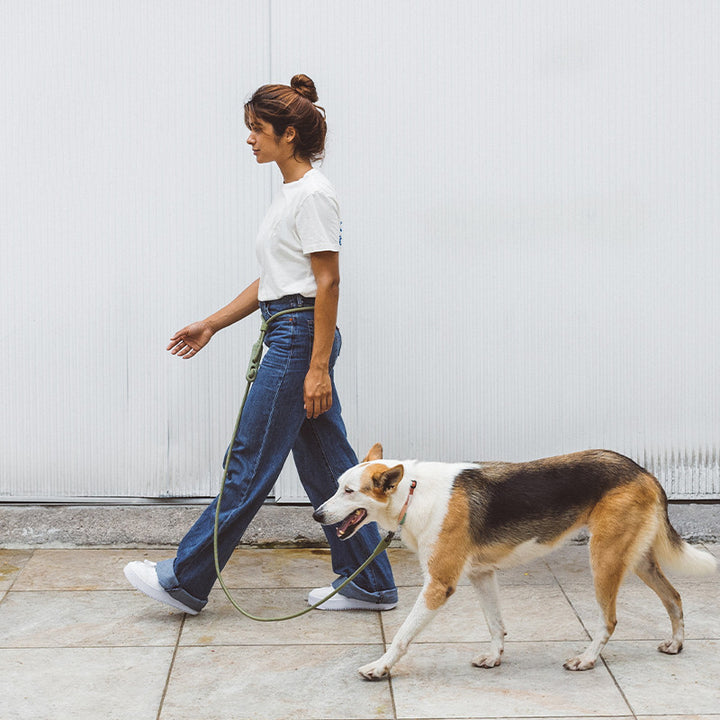 Minimalist Pet Leash For Fashion And Outdoor Walking