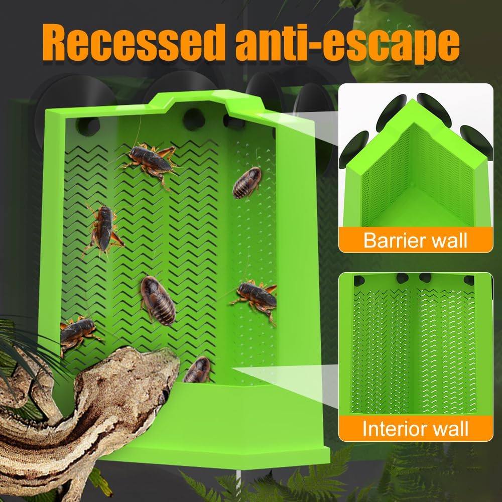 Wall Mounted Reptile Feeder Box With Suction Cups For Pet Feeding