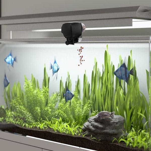 Digital Automatic Aquarium Fish Feeder With Timer And LCD Display