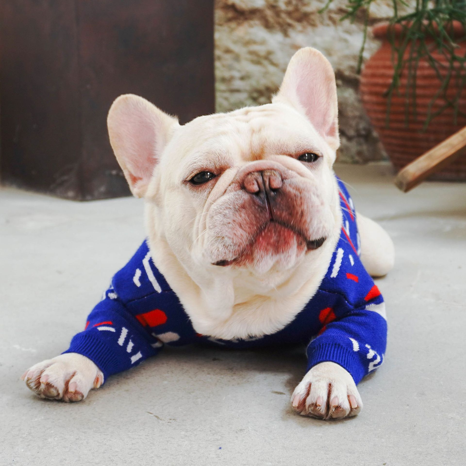 Warm Pet Sweater For Small Breed Comfort Clothing