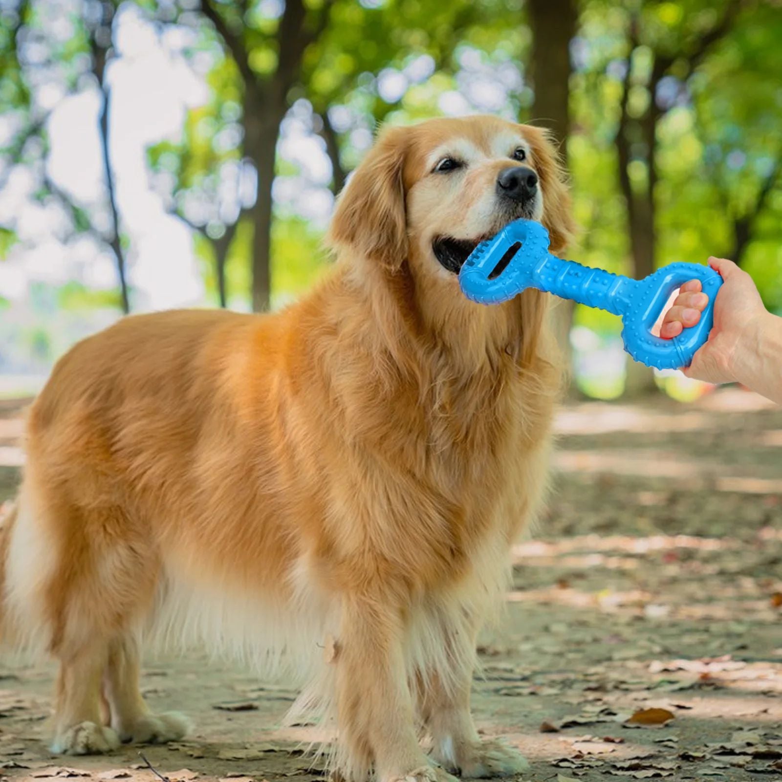 Long Lasting Interactive Pet Chew Bone Toy With Pull Band