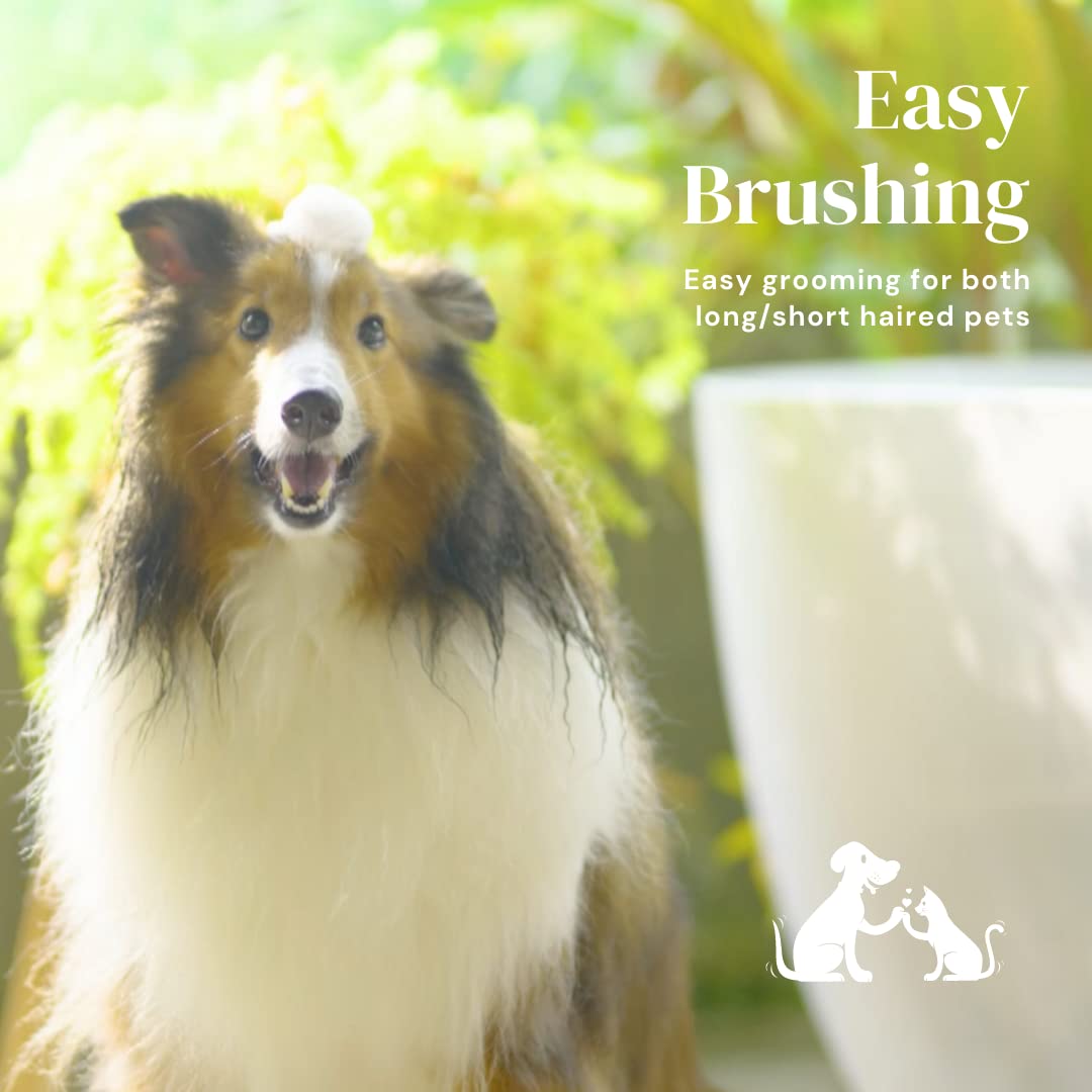 Self Cleaning Pet Slicker Grooming Brush For Loose Hair And Mats