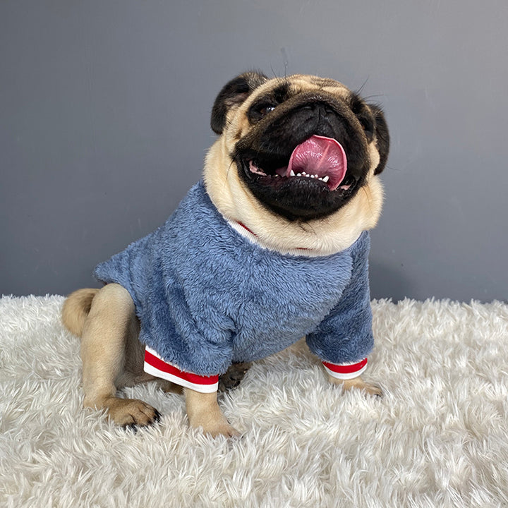 Pet Sweater Warm Comfortable Outdoor Clothing