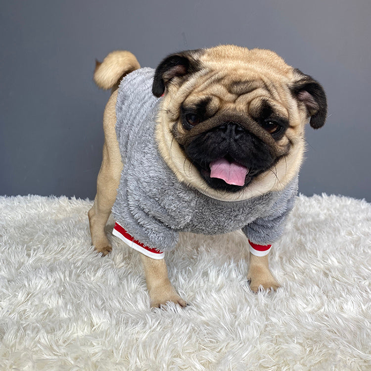 Pet Sweater Warm Comfortable Outdoor Clothing