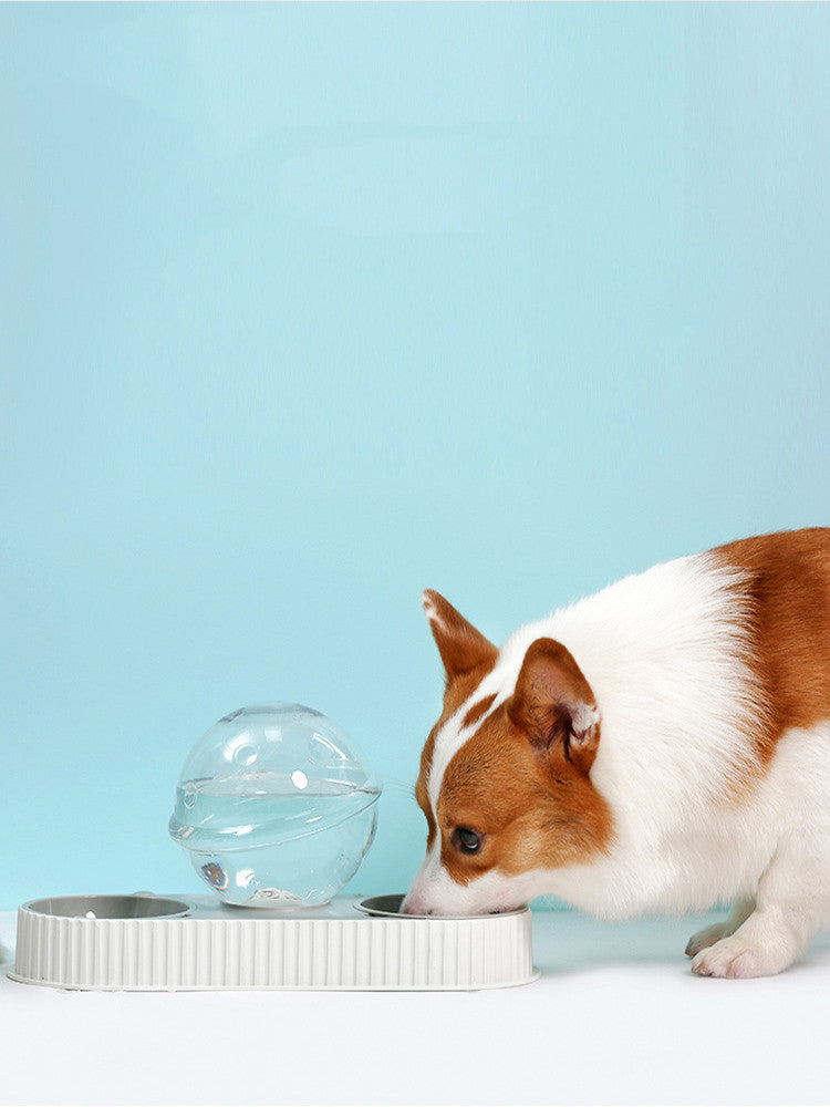 Automatic Pet Water Feeder Drinking Bowl Dispenser