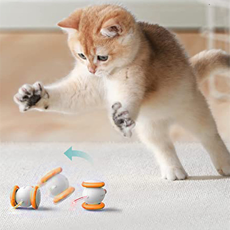 Electric Intelligent Interactive Pet Teasing Rechargeable Toy