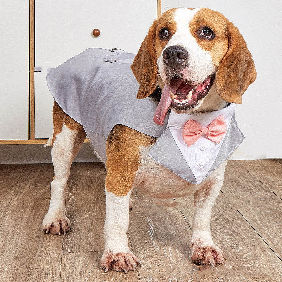 Pet Swallowtail Wedding Suit Jacket Formal Clothing