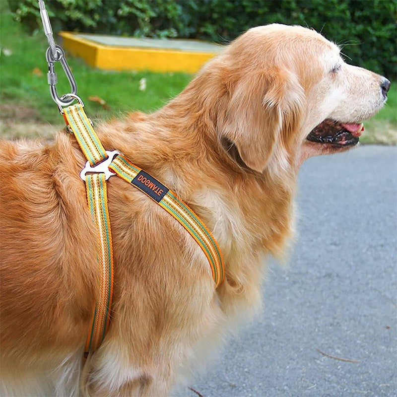 Pet Wire Rope Leash Durable Towing Lead