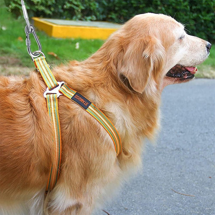 Pet Wire Rope Leash Durable Towing Lead