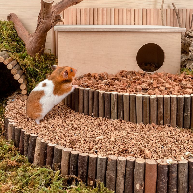 Oak Cork Pet Bedding Dust Free Digging Cage Landscaping Supplies