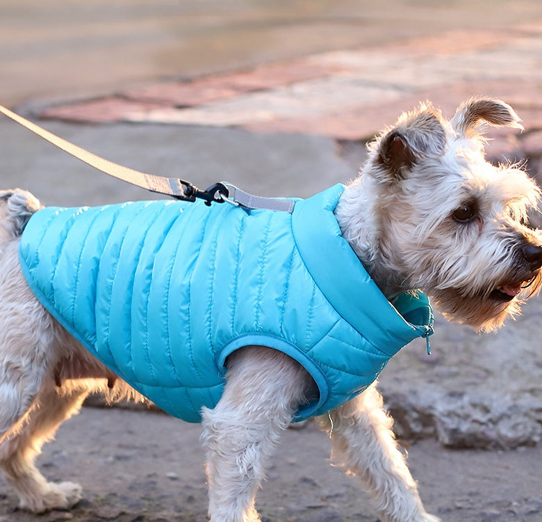 Pet Nylon Zipper Jacket Autumn Winter Clothing