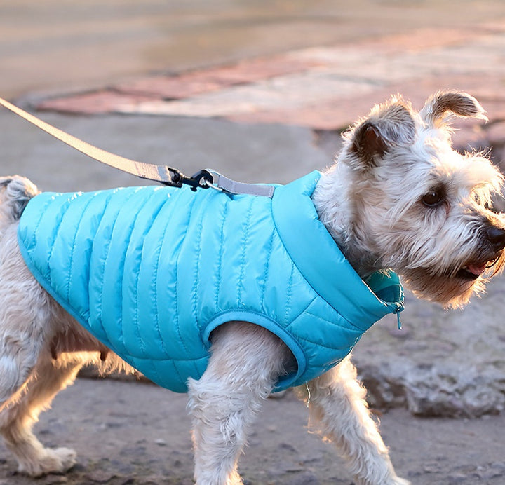 Pet Nylon Zipper Jacket Autumn Winter Clothing