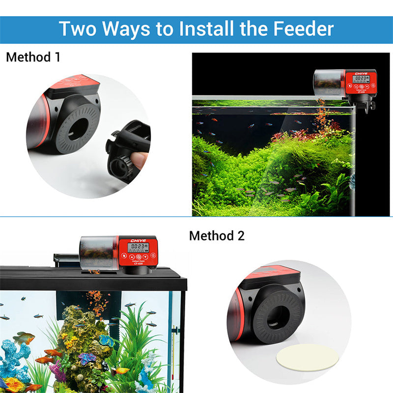 Intelligent Automatic Fish Tank Feeder With Timer System