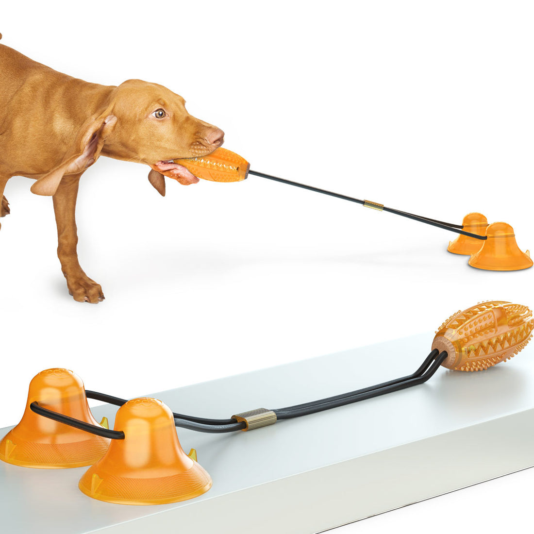 Multifunction Double Rope Ball Suction Pet Chew Toy
