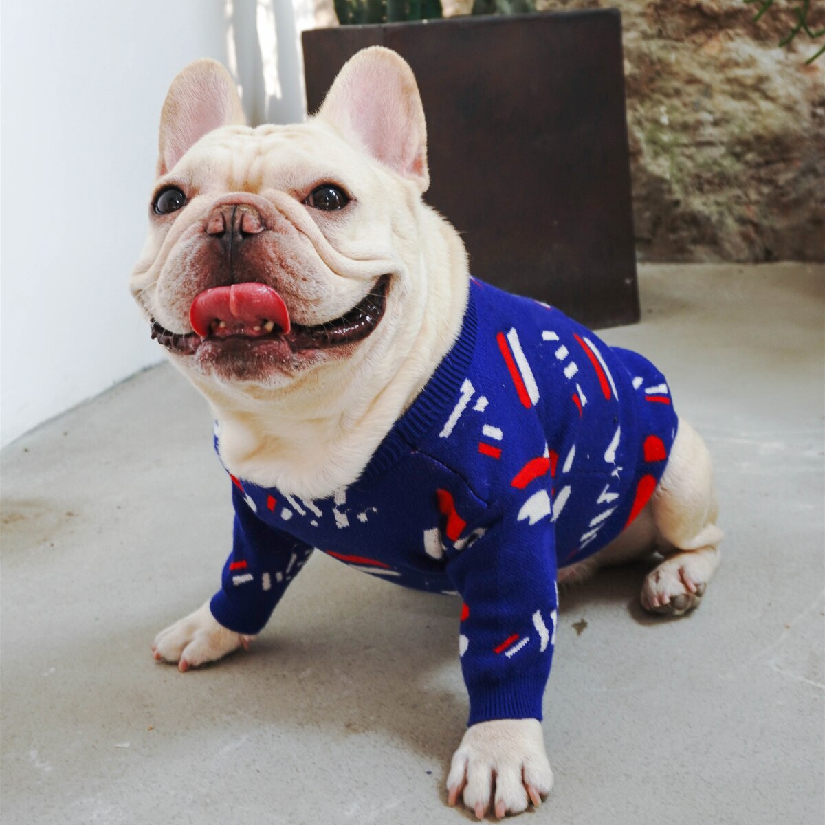 Warm Pet Sweater For Small Breed Comfort Clothing