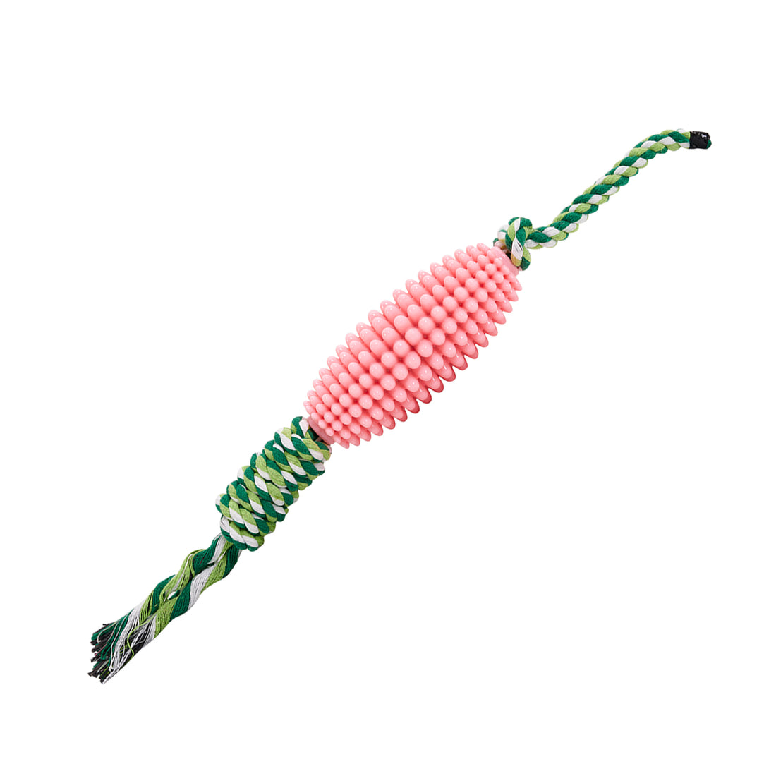 Interactive Pet Toothbrush Chew Toy For Aggressive Chewers