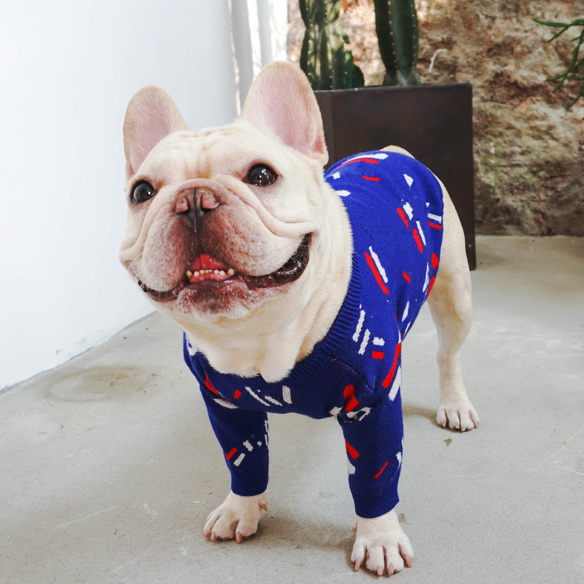 Warm Pet Sweater For Small Breed Comfort Clothing