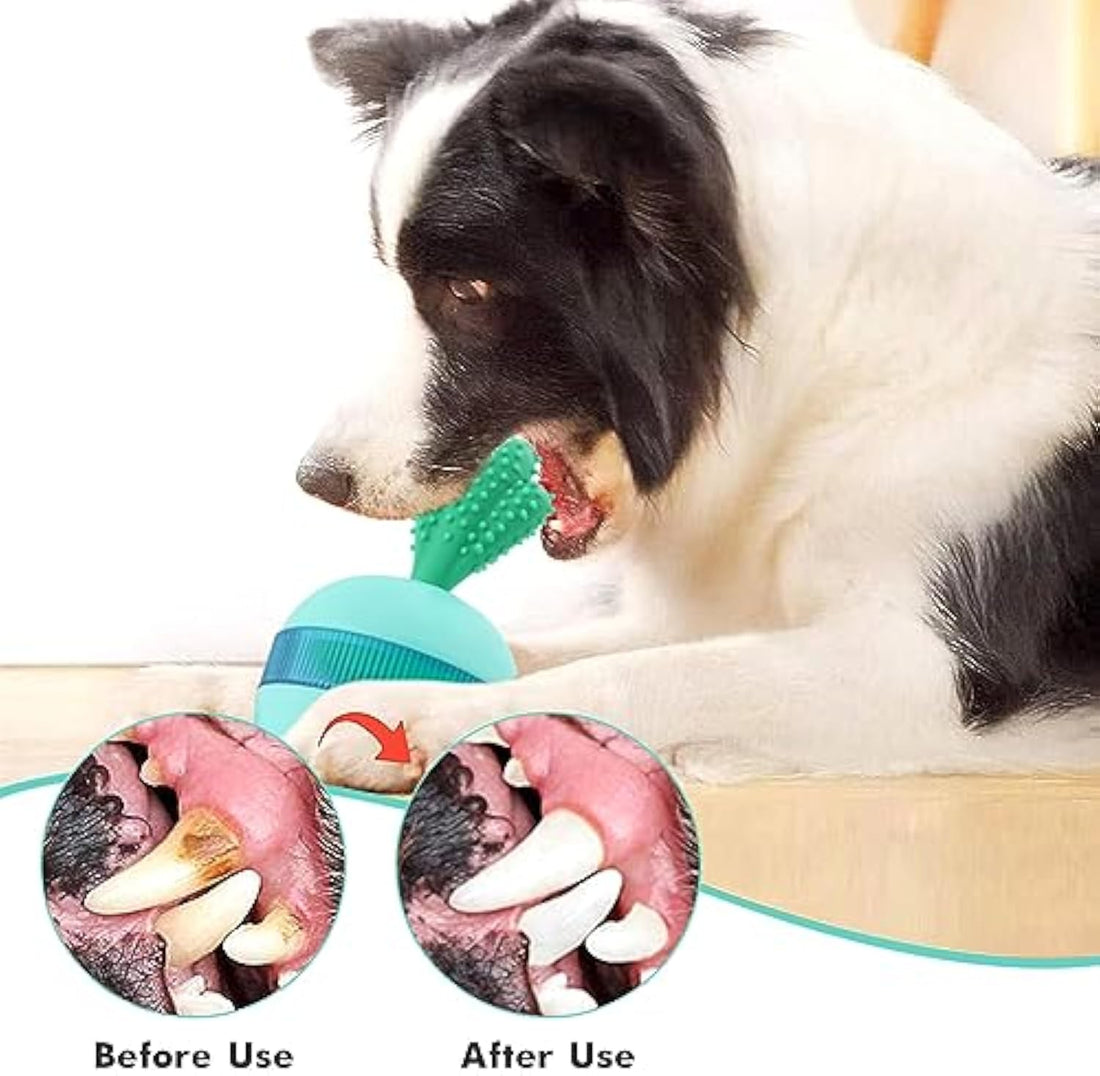 Interactive Treat Dispensing Pet Puzzle Toy Durable Chew Ball