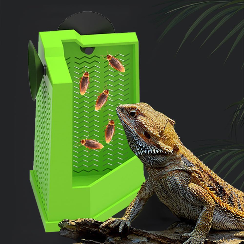 Wall Mounted Reptile Feeder Box With Suction Cups For Pet Feeding