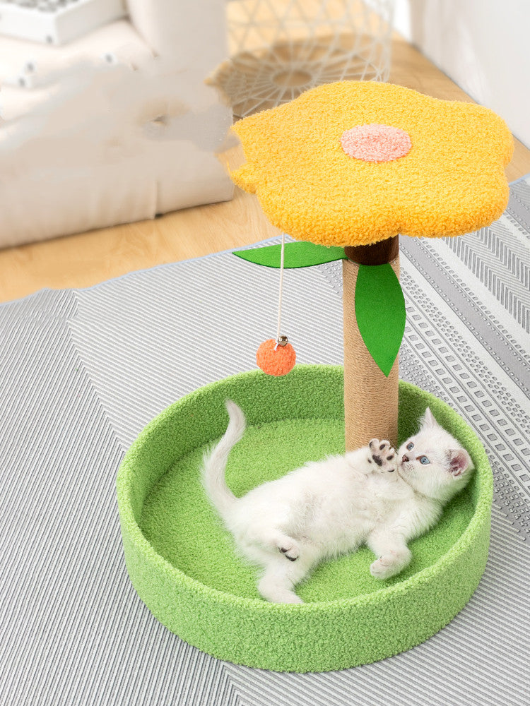 Interactive Pet Claw Grinding And Teasing Play Toy
