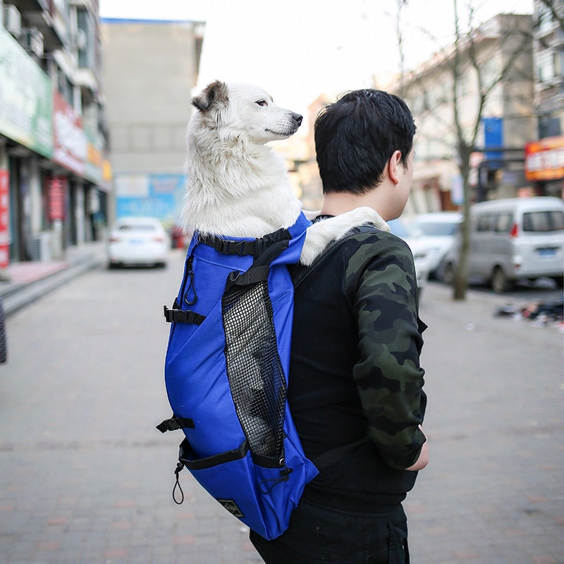 Breathable Double Shoulder Pet Carrier Backpack For Outdoor Travel