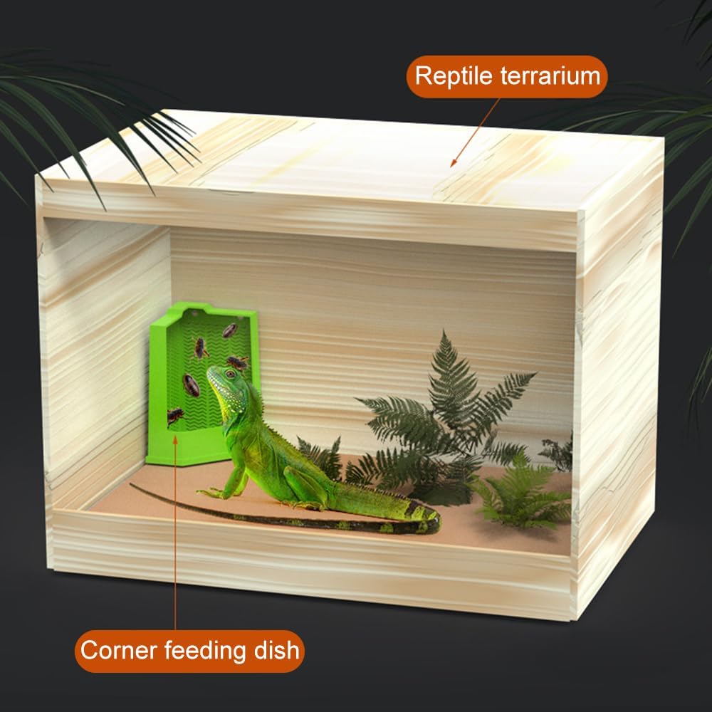 Wall Mounted Reptile Feeder Box With Suction Cups For Pet Feeding