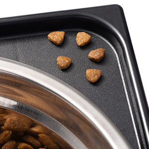 Elevated Pet Feeding Bowl Neck Support Anti Tumble Stand