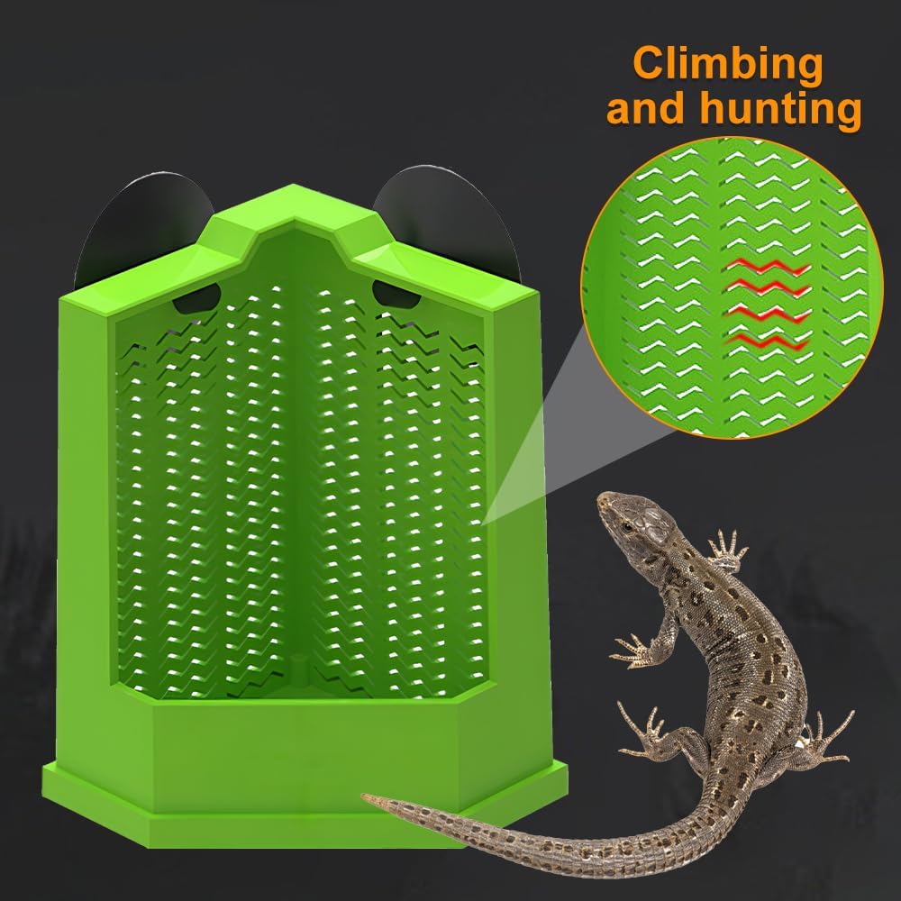 Wall Mounted Reptile Feeder Box With Suction Cups For Pet Feeding