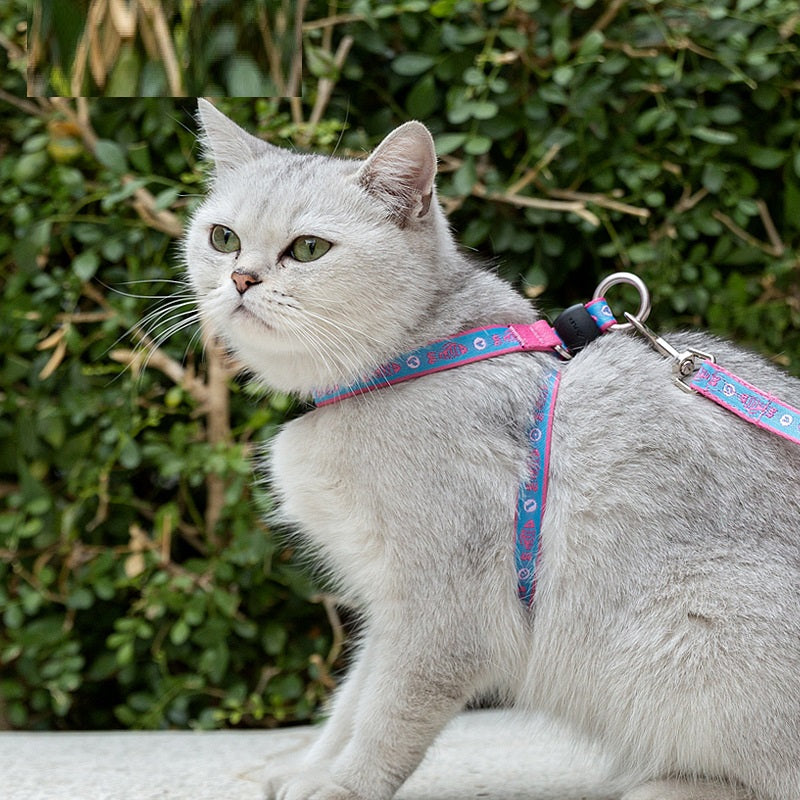 Pet Bell Chest Strap Haulage Rope Vest Leash