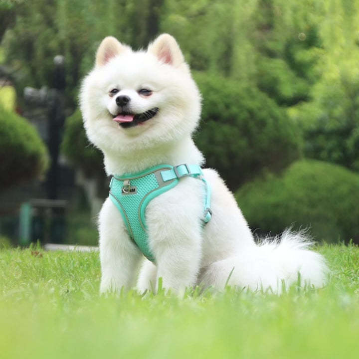 Pet Leash Teddy Breathable Adjustable Pet Chest Harness