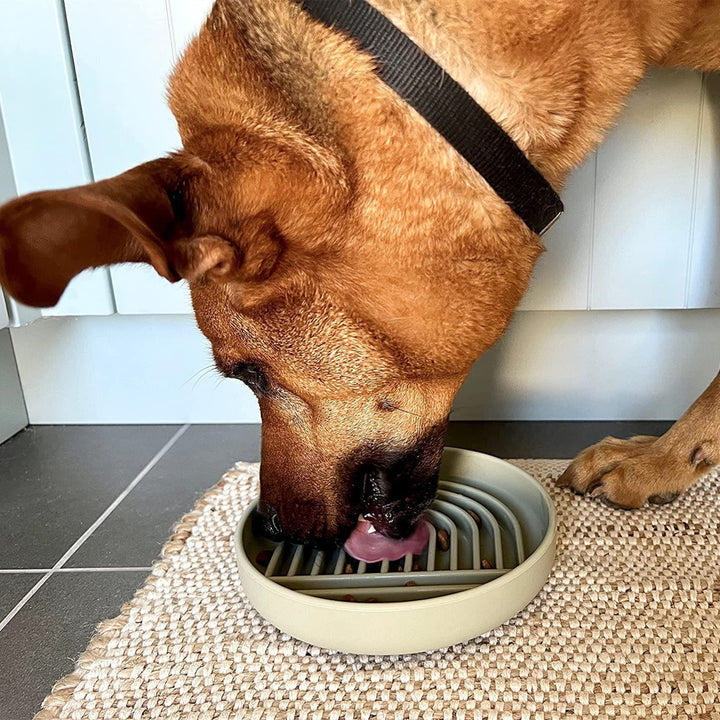 Fashion Simple Pet Slow Feeding Bowl