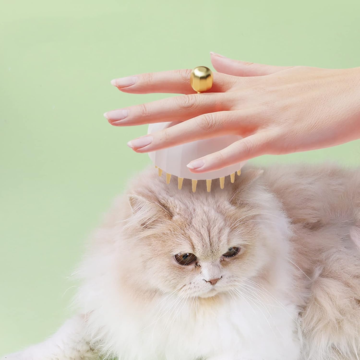 Pet Bath Massage Brush With Shampoo Dispenser Grooming Tool