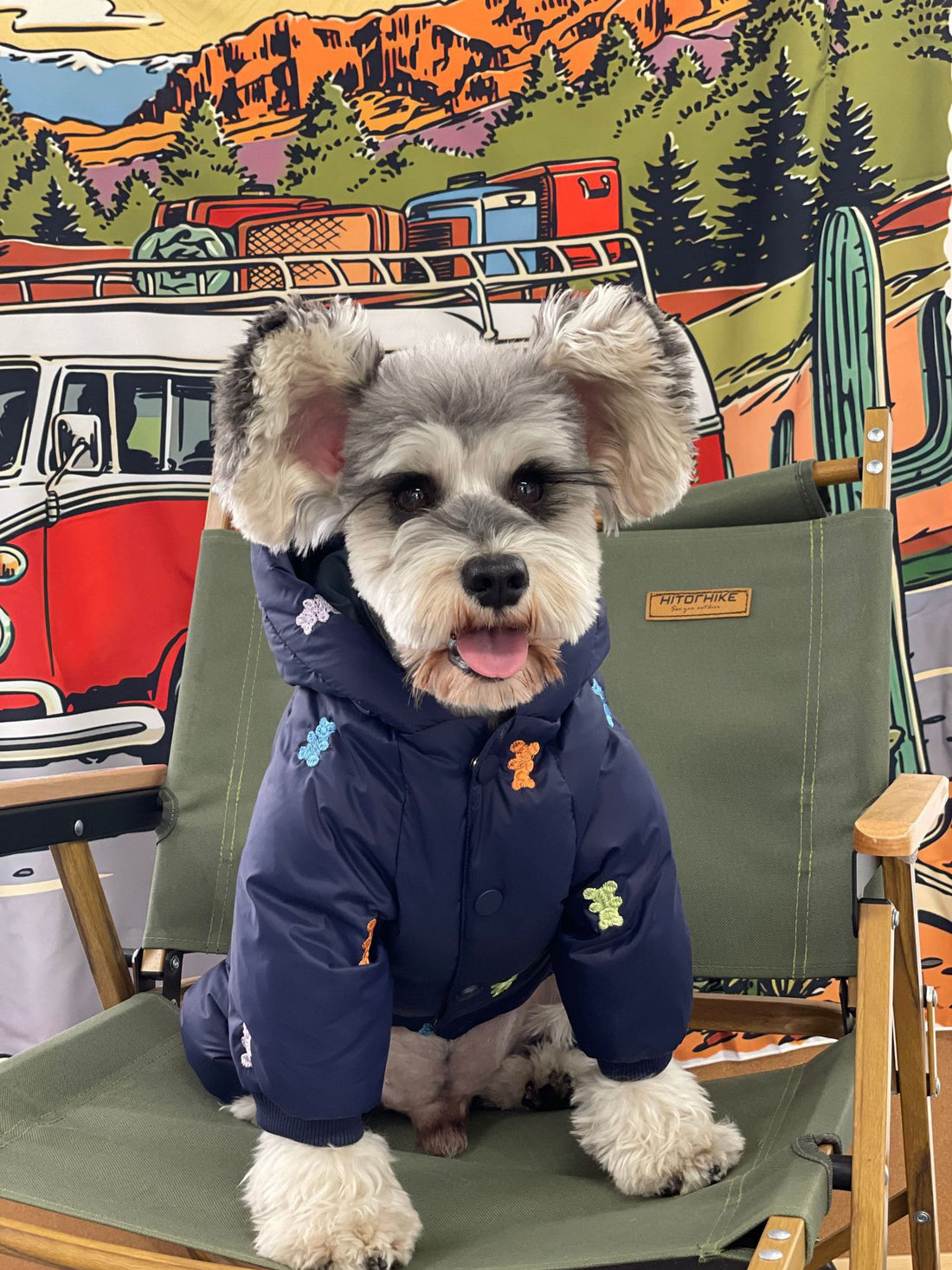 Warm Hooded Pet Down Jacket Four Feet Clothing