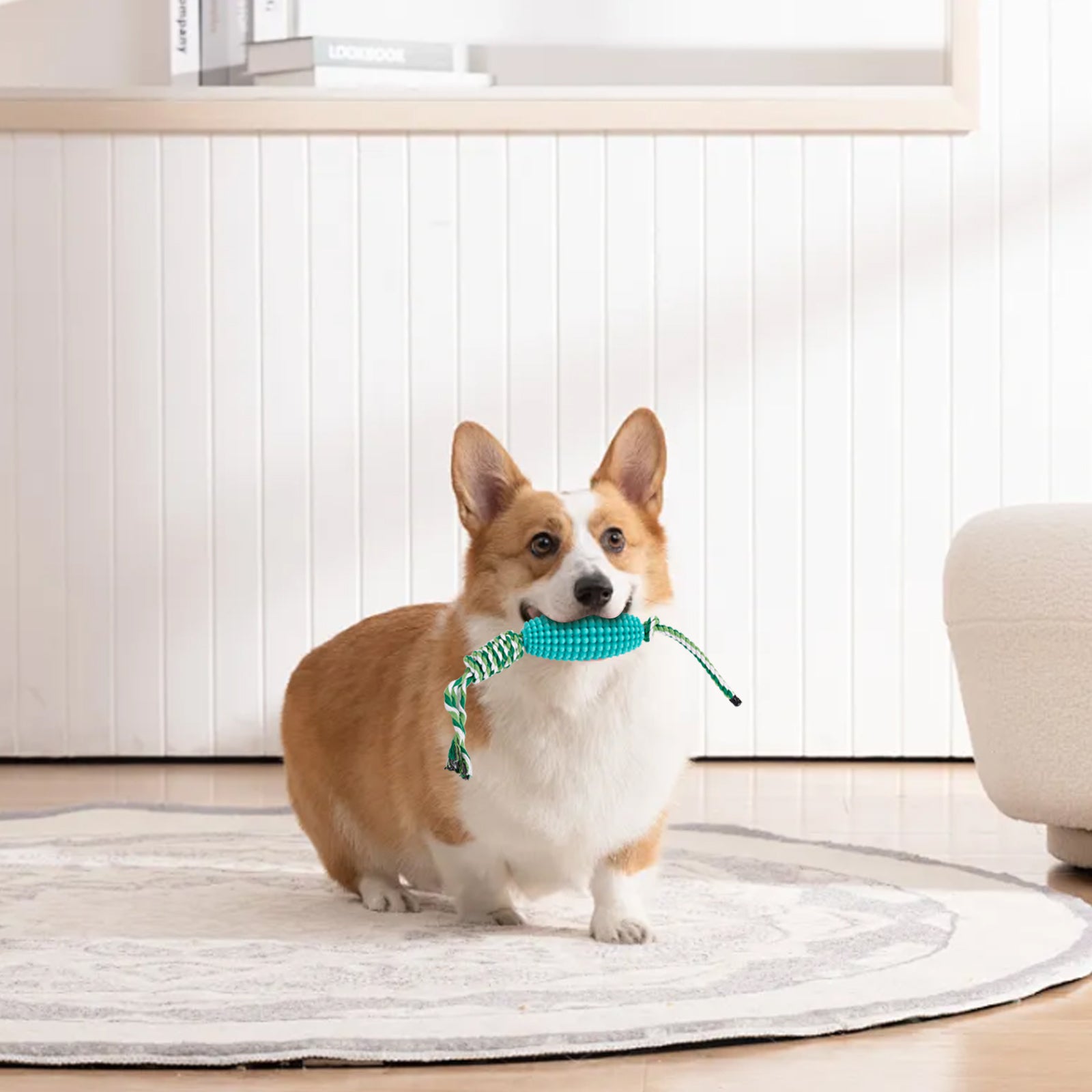 Interactive Pet Toothbrush Chew Toy For Aggressive Chewers