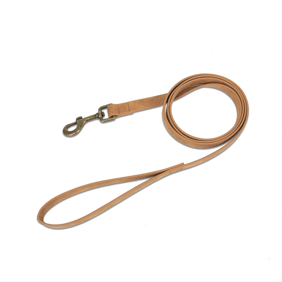 Retro Fashion Pet Leash And Collar Set