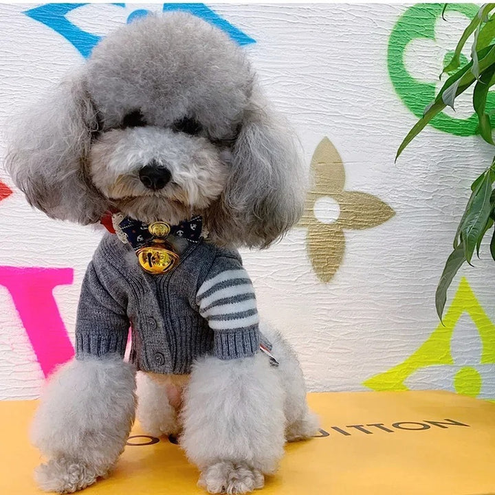Pet Cardigan Sweater Clothing For Outdoor Wear