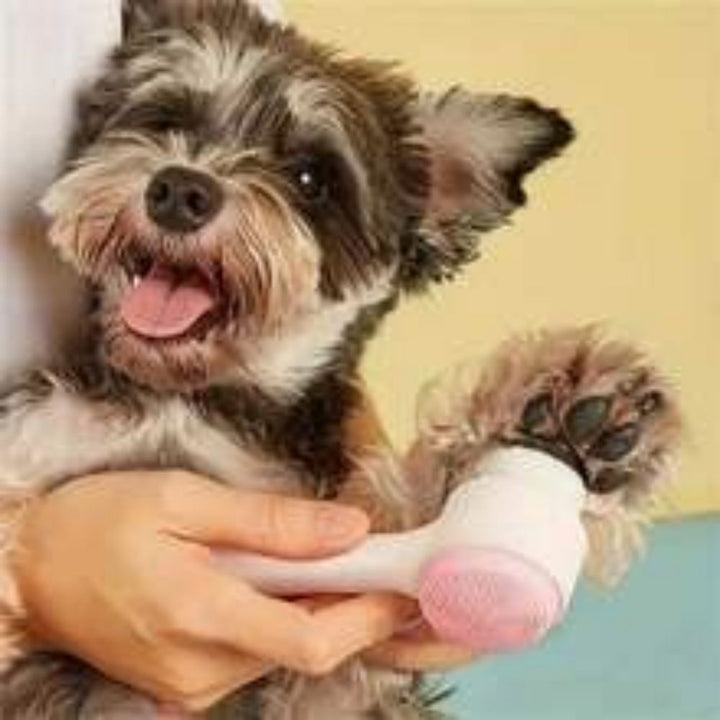 Easy Clean Nylon Pet Paw Brush Gentle Grooming And Massage Tool