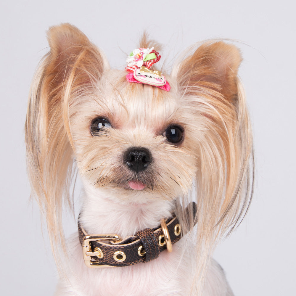 Pet PU Collar Leash Set For Outdoor Use